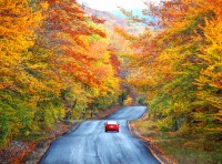 image of car driving on road surrounded by Fall foliage