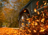 image of car driving through leaves